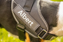 Load image into Gallery viewer, Personalised No Pull Dog Harness
