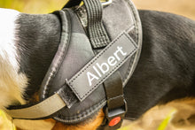 Load image into Gallery viewer, Personalised No Pull Dog Harness

