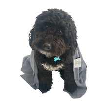 Load image into Gallery viewer, Set of 2 Large High-Performance Microfibre Dog Towels
