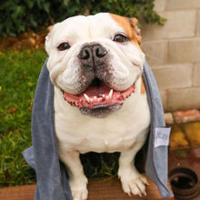 Load image into Gallery viewer, Microfibre Dog Towel
